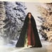 Taylor Swift Wildest Winter Evermore lithograph poster