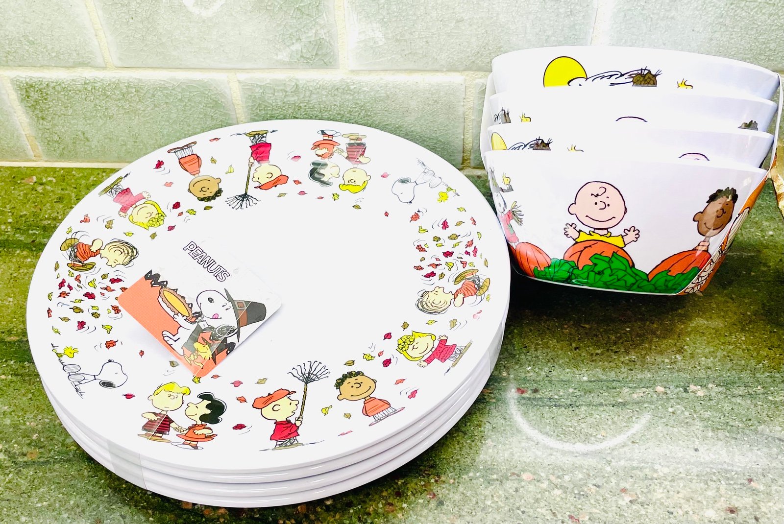 Peanuts & Gang Set of 4 Melamine Thanksgiving Plates and Bowls