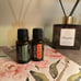 Authentic doTERRA Oil Lot of On Guard & TerraShield 15ml SEALED NEW Exp 2029