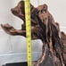 Aquarium Driftwood for aquarium, terrarium, cage enclosure. Item Tag: K110