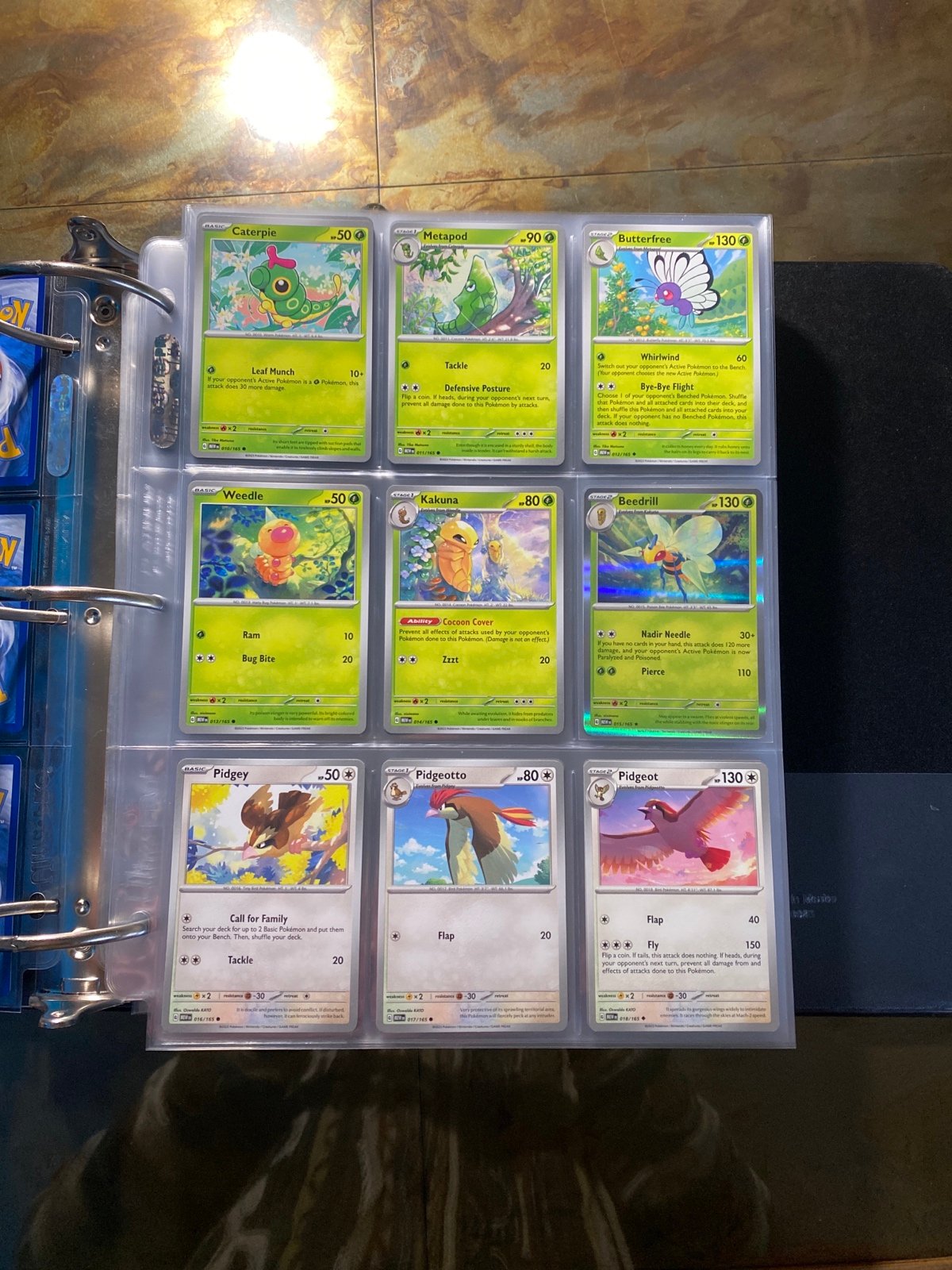 楽天市場】【3種類 ポケモン】 こどものかお Pochitto6 ポチッと