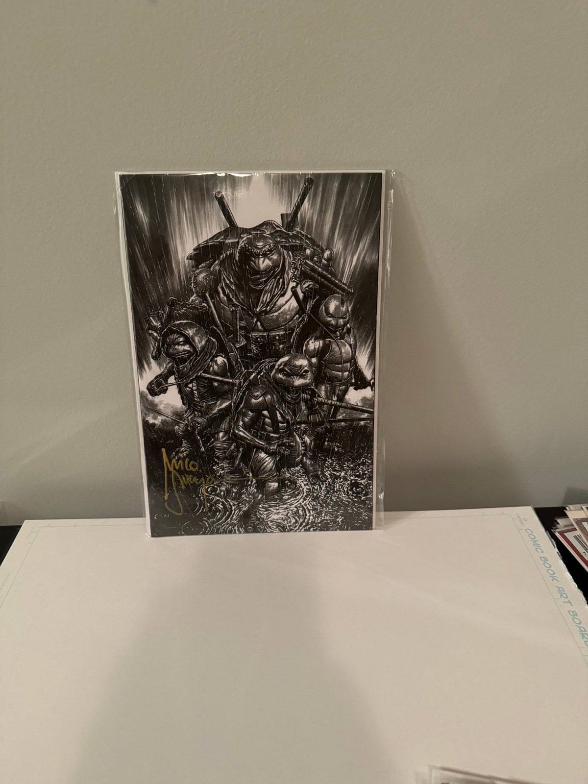 TMNT: the last ronin II re-evolution sketch