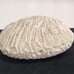 Natural Brain Coral