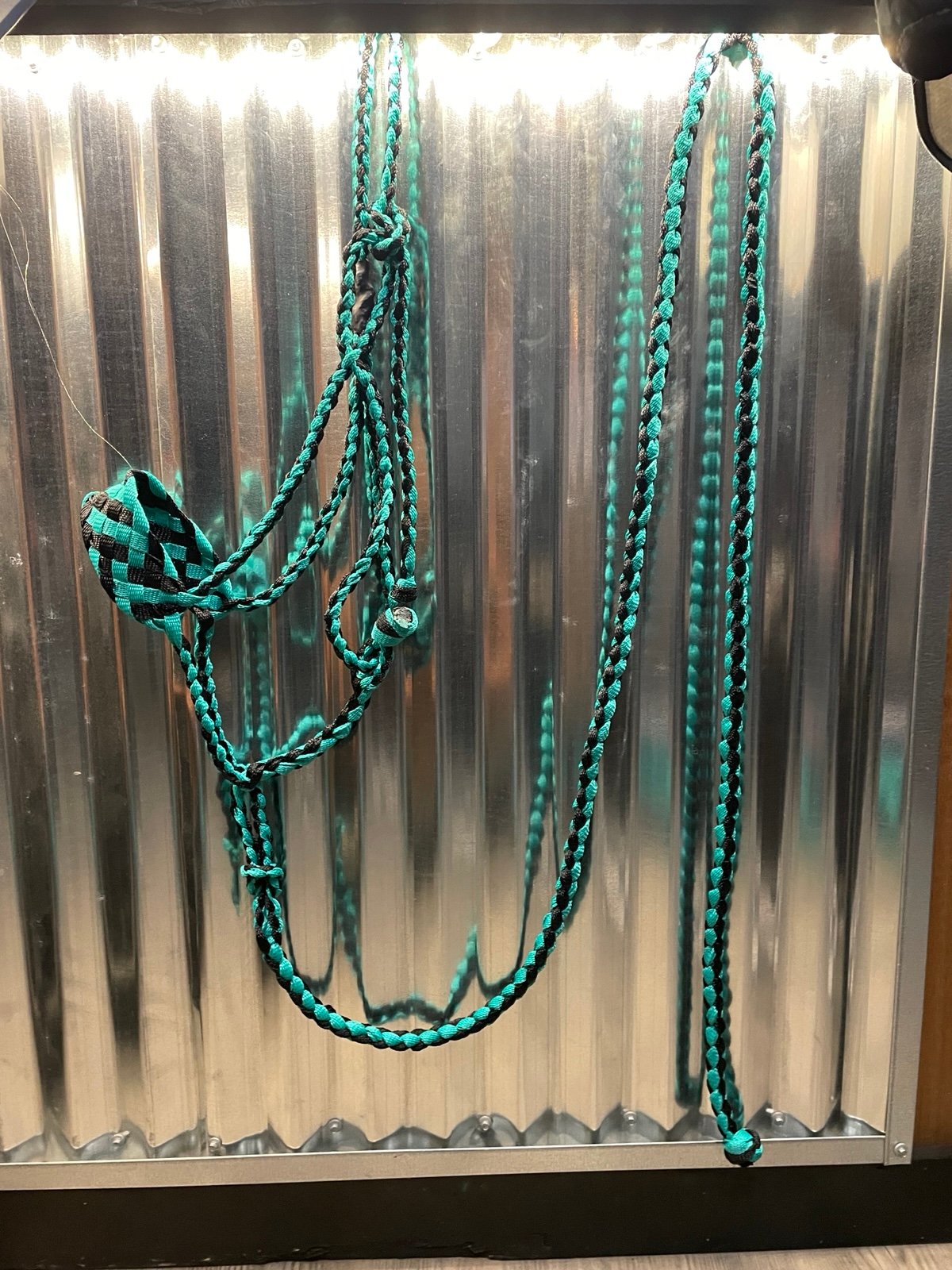 Turquoise and Black Hand Braided Mule Tape Halter