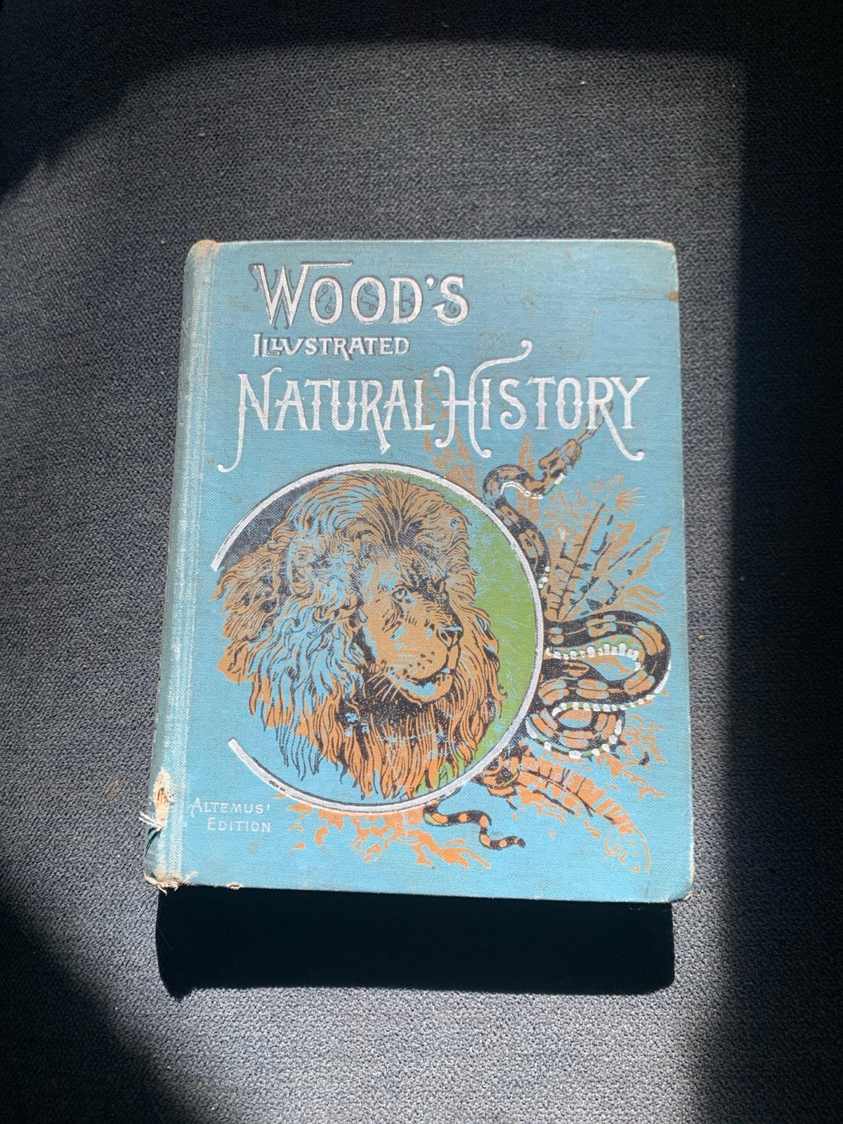 RARE Wood’s Illustrated Natural History Artemus’ Edition