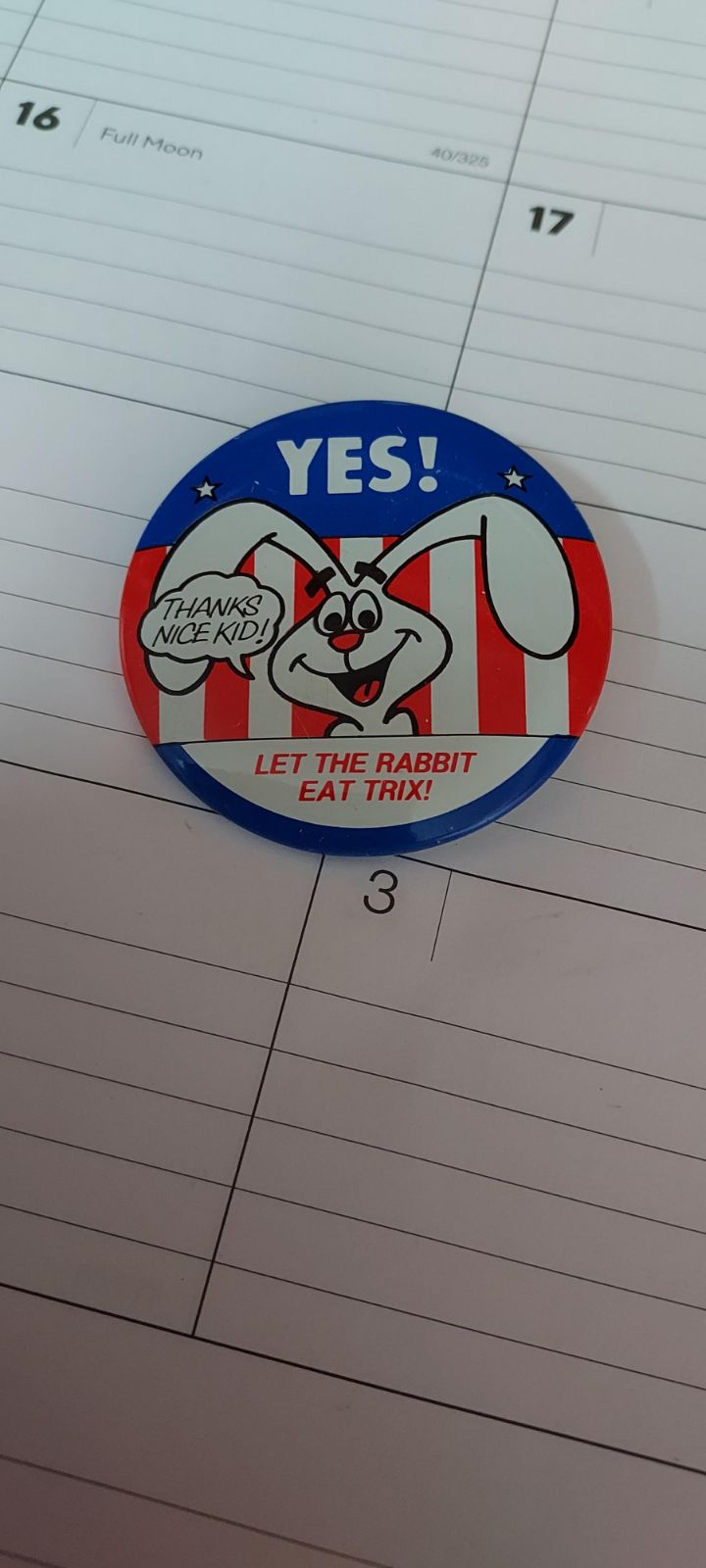 Vintage pin