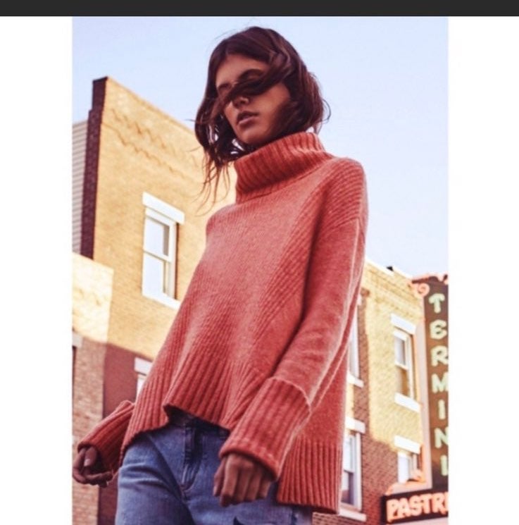moth turtleneck sweater