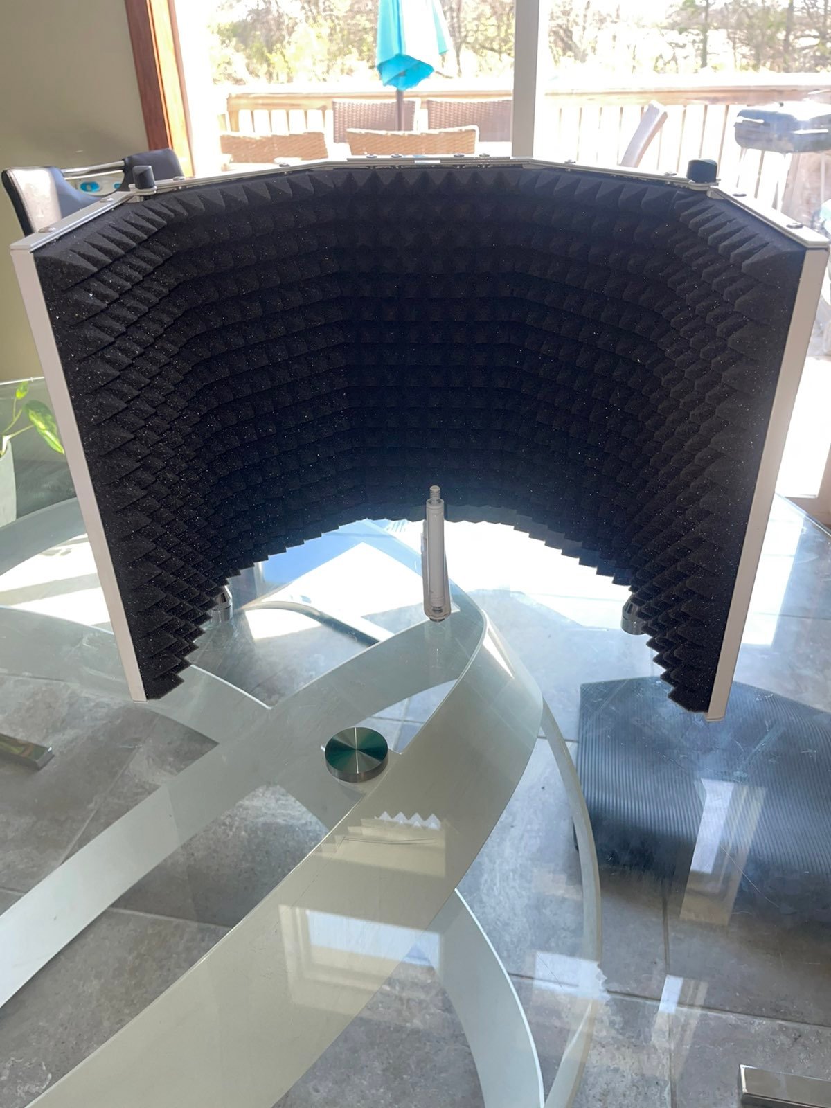 Microphone shield