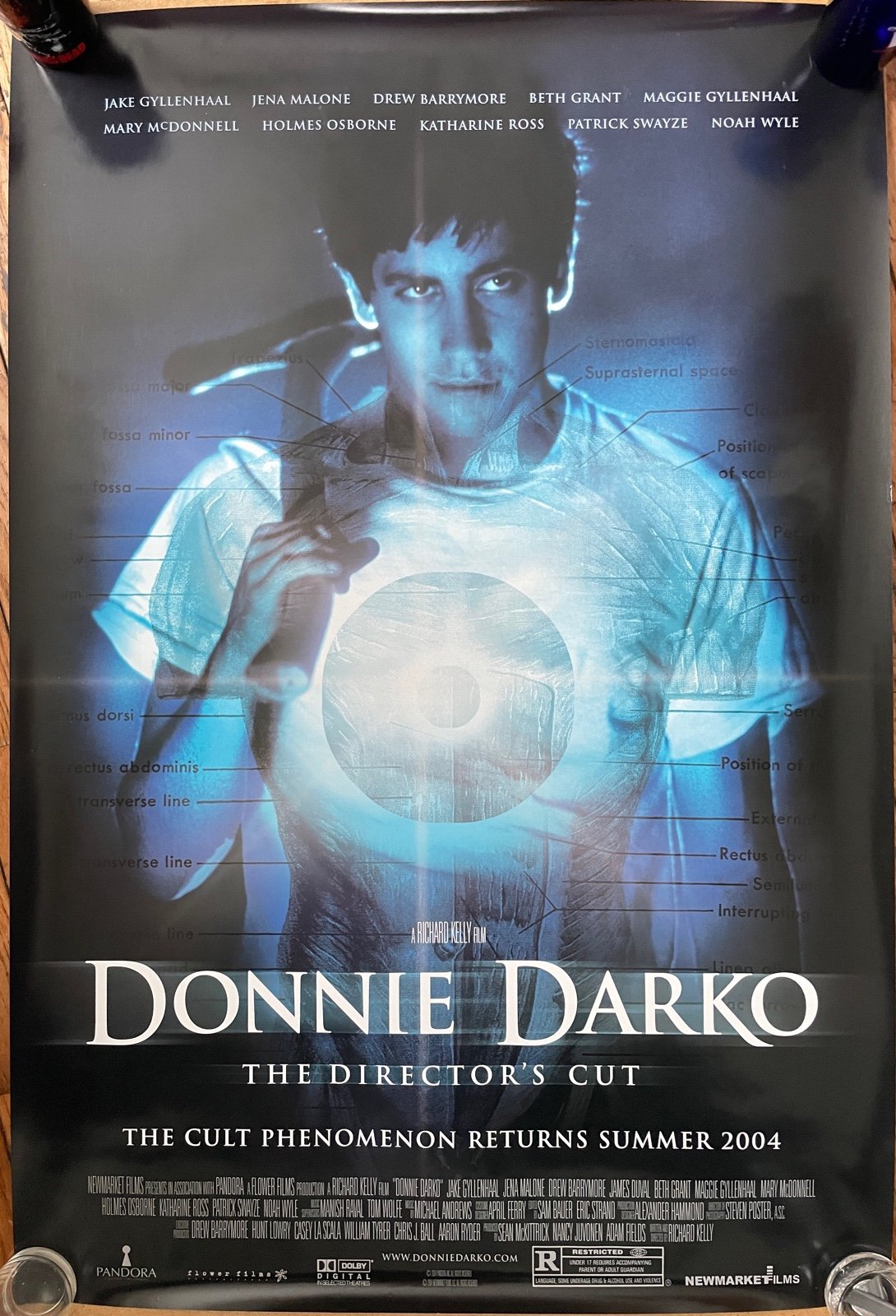 Donnie Darko Movie Poster - Original Director’s Cut Mint - Jake Gyllenhaal
