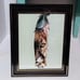 Home Decor Lion's Eye, Feather Art Framed Signed In Pencil & Numbered By Artist