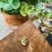 NWT Marc Jacobs Marc Jacobs Gold & Multicolor Abalone The Medallion' Bracelet