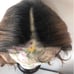 20 BROWN OMBRE 5 PART LACE FRONT WIG