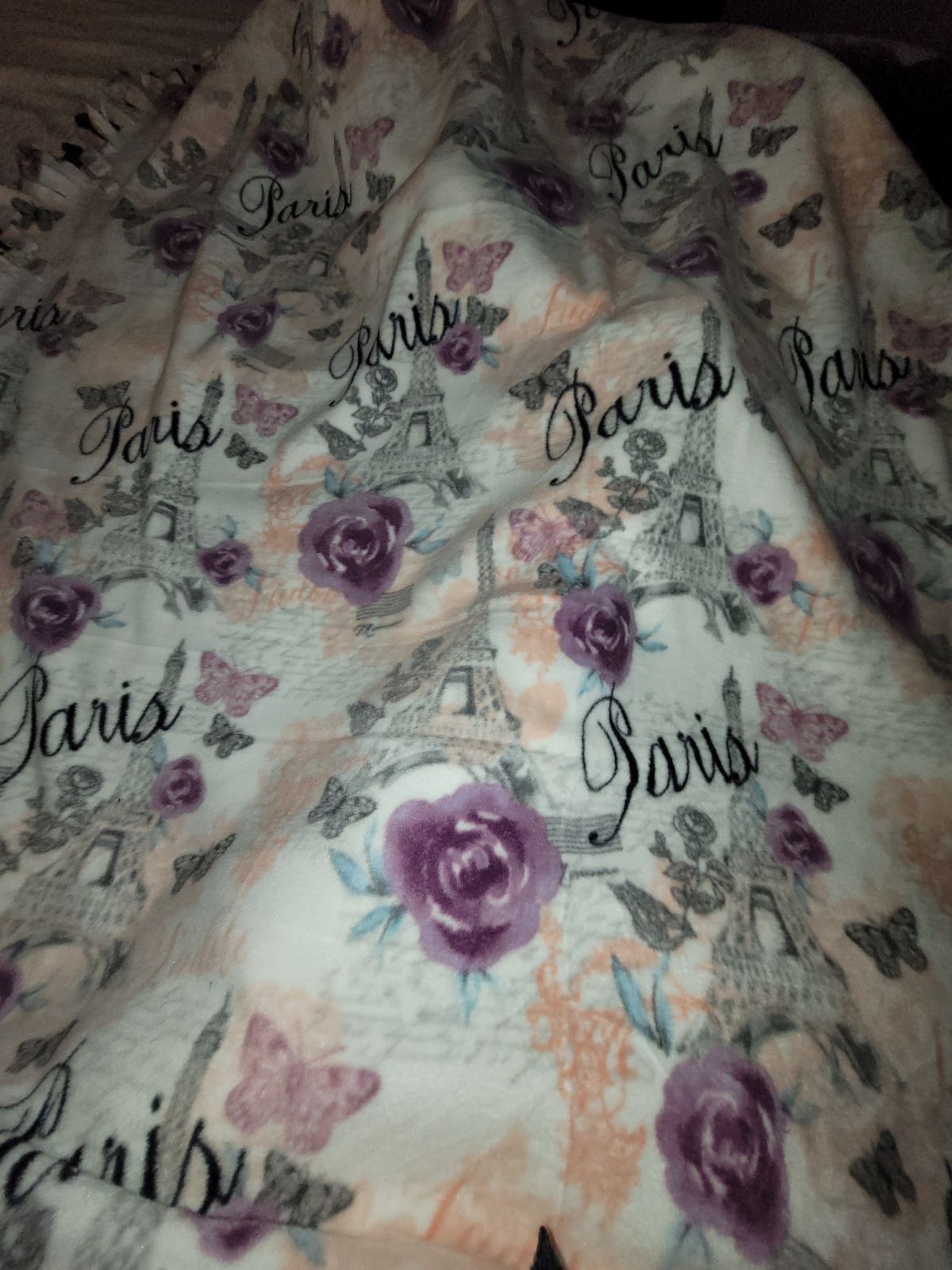 Beautiful Paris and Flowers Tie Blanket