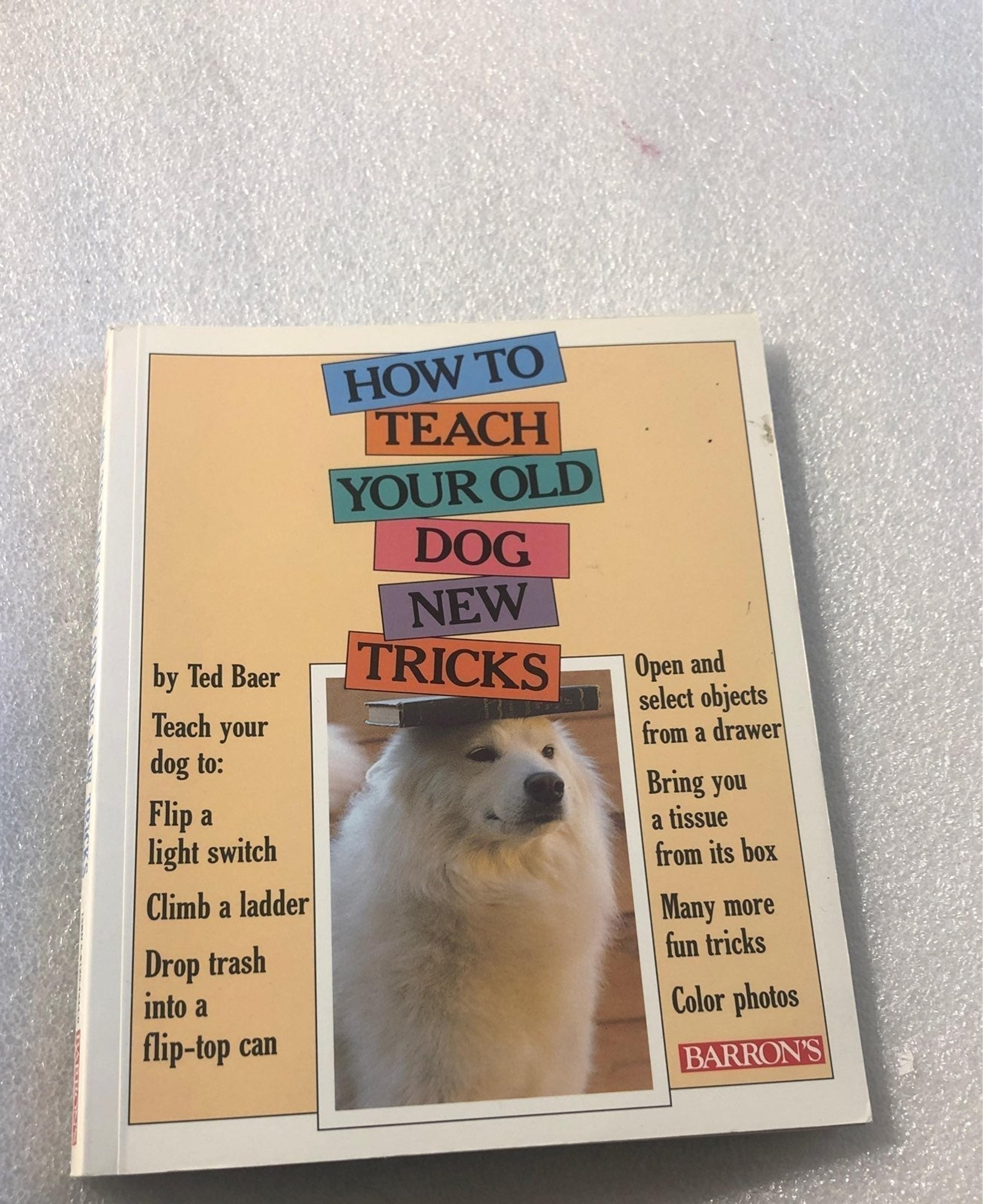 How to teach your okd Dog new tricks boo