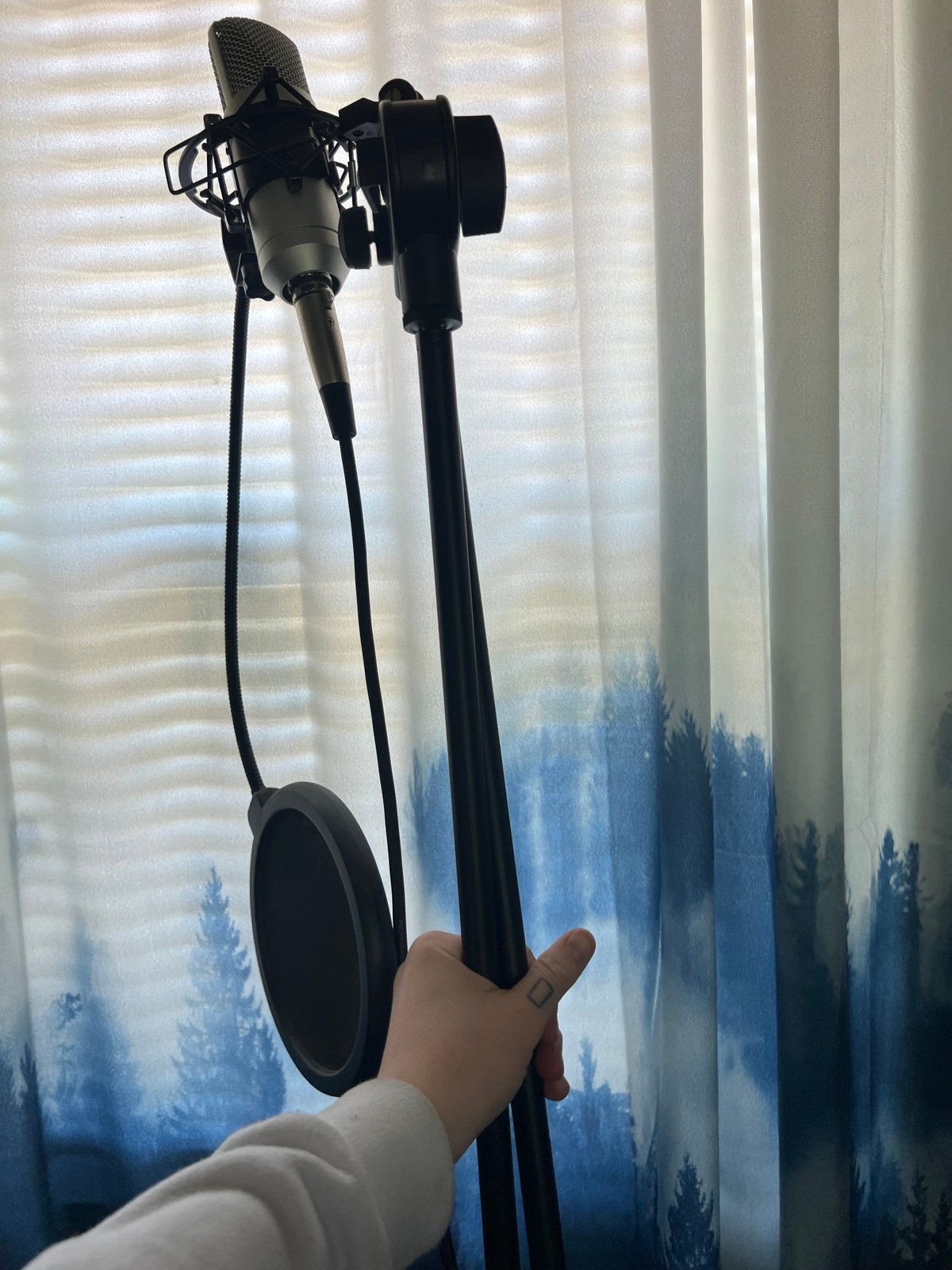 Microphone and Stand