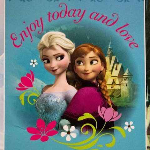 Disney Frozen Anna & Elsa Enjoy Today and Love Royal Plush Rushel Throw 60 x8