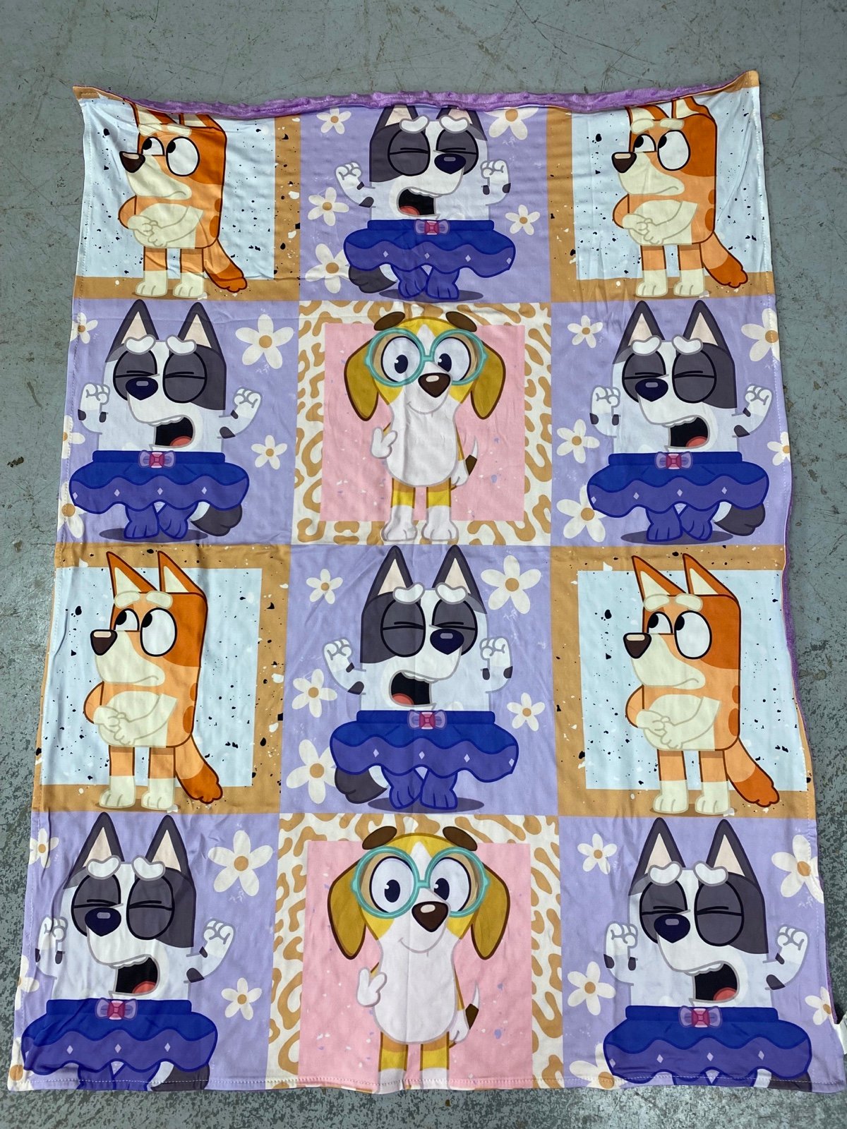 Bluey Minky blanket
