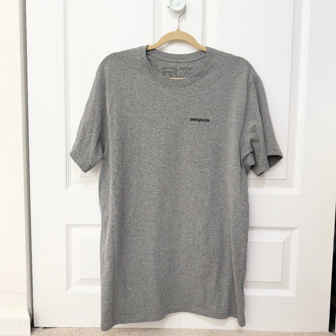Men Patagonia Glacier View Rising Responsibili Tee Light Gray in Extra Large