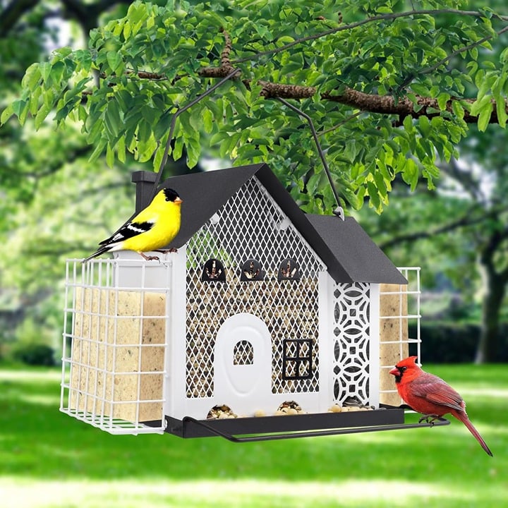 Bird Feeders for Outdoors Hanging, Metal Mesh Wild Bird Feeder with Double Suet