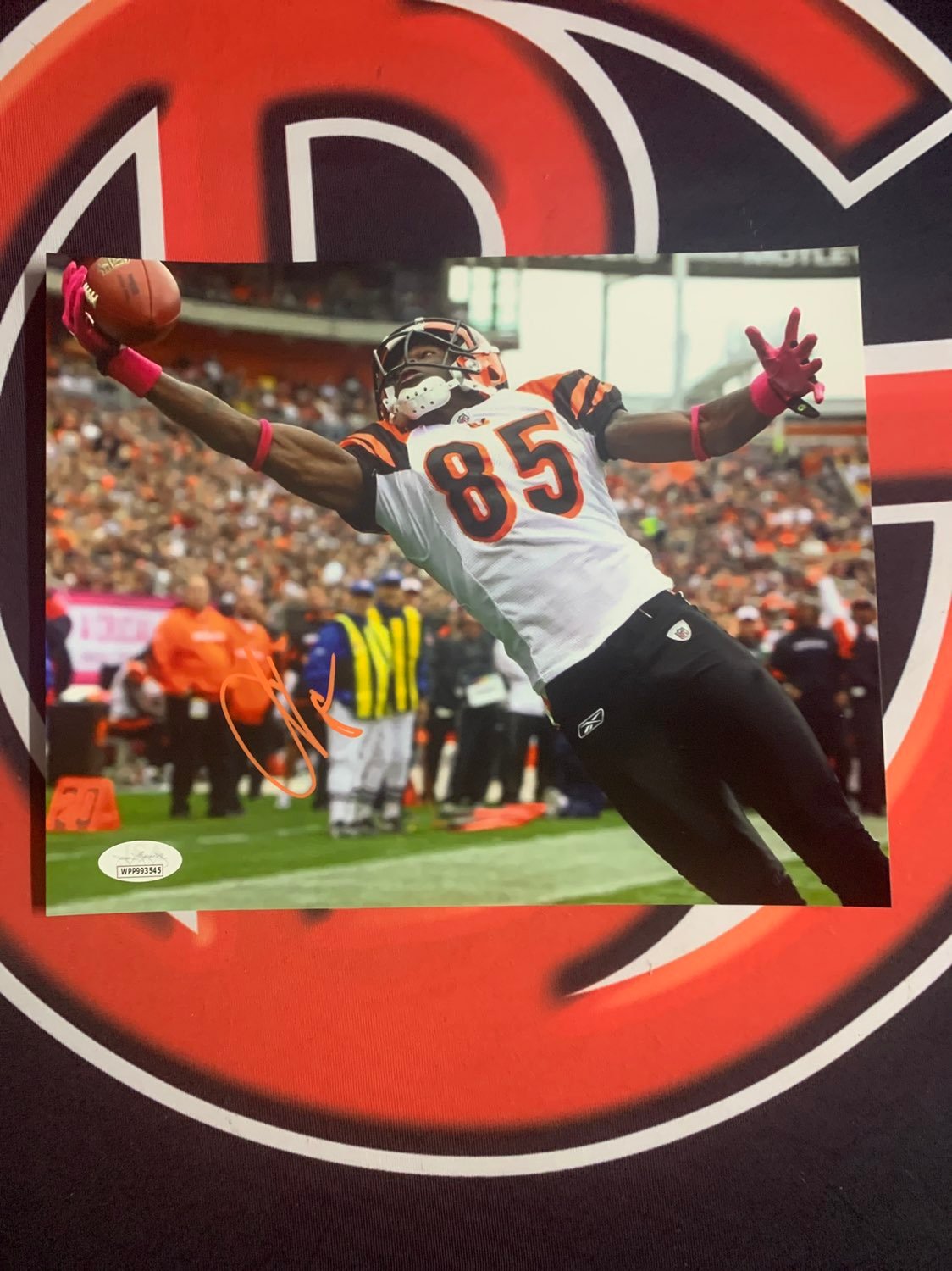 Chad Ochocinco Cincinatti Bengals Autographed 8x10 Signed and JSA Certified