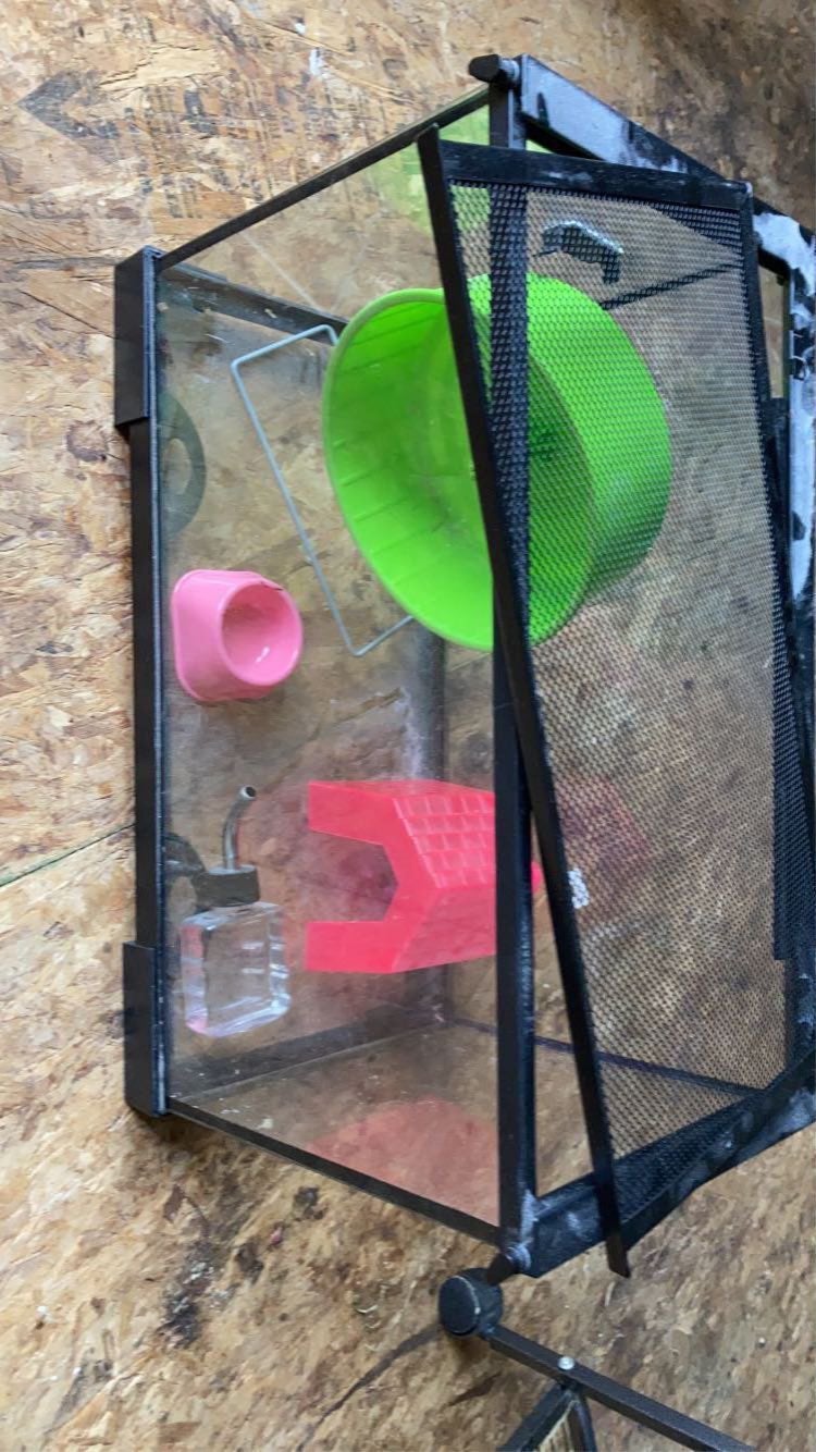 10 gallon tank