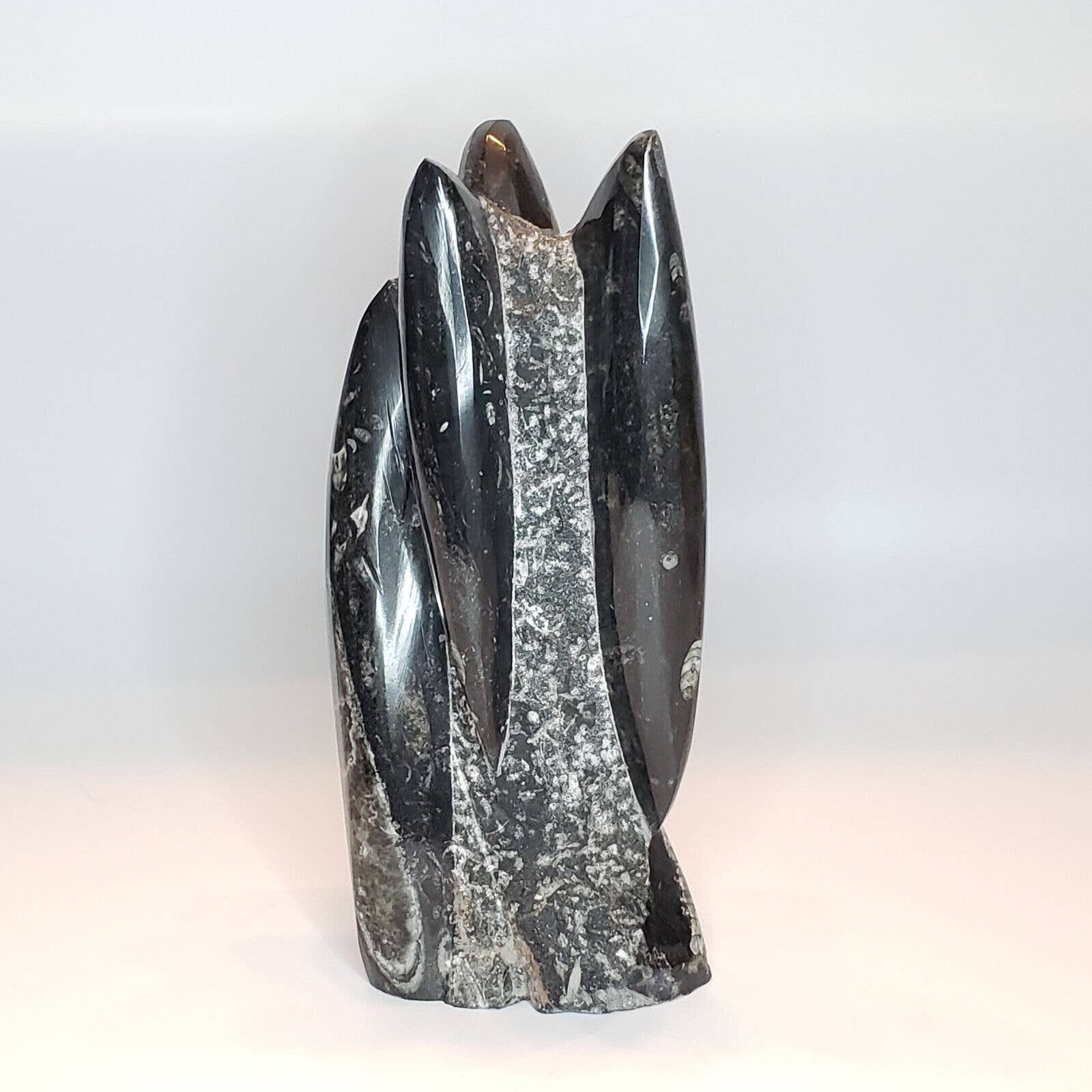 Orthoceras Fossil Tower Sculpture Squid Shell Decor 8 1/4 3.11 Lbs. 31-13