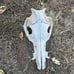 Pig skull
