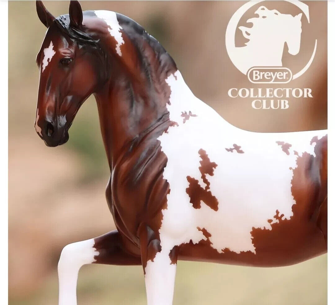 Breyer Collector Club Antonia Lipizzan mold Paint Warmblood IN HAND!