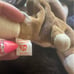 Beanie babies Bernie with errors