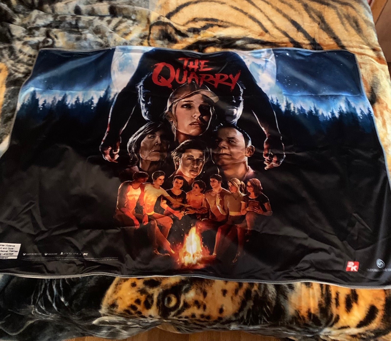 The quarry GameStop promo fabric poster.