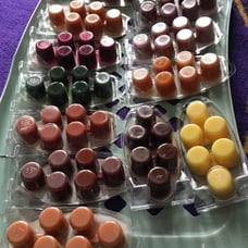 BNIP 12 YANKEE FRAGRANCE WAX MELT BUNDLE LOT