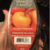 BNIP 12 YANKEE FRAGRANCE WAX MELT BUNDLE LOT