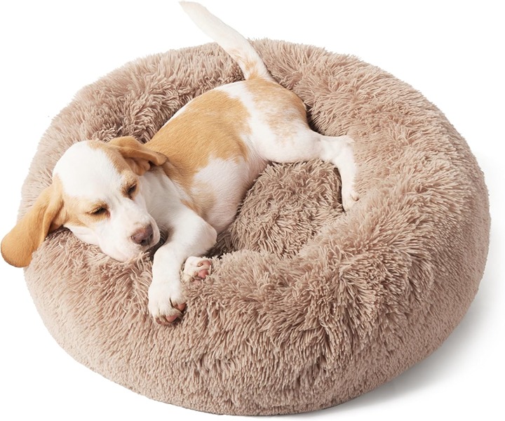 Dog Bed for Small Dogs - Donut Washable Small Pet Bed, 23 inches