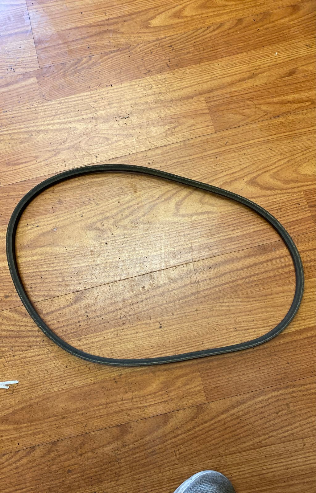 OEM snapper Belt
