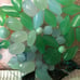beads for jewelry making