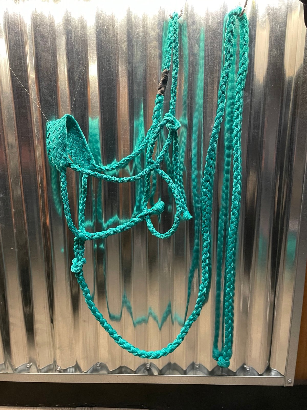 Turquoise Hand Braided Mule Tape Halter