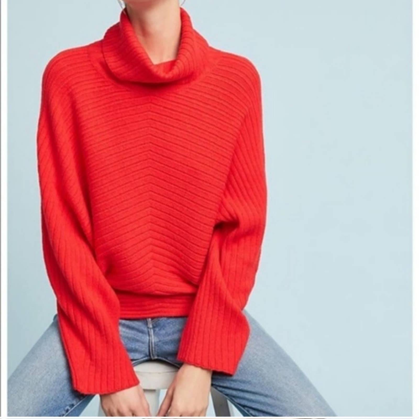 moth turtleneck sweater