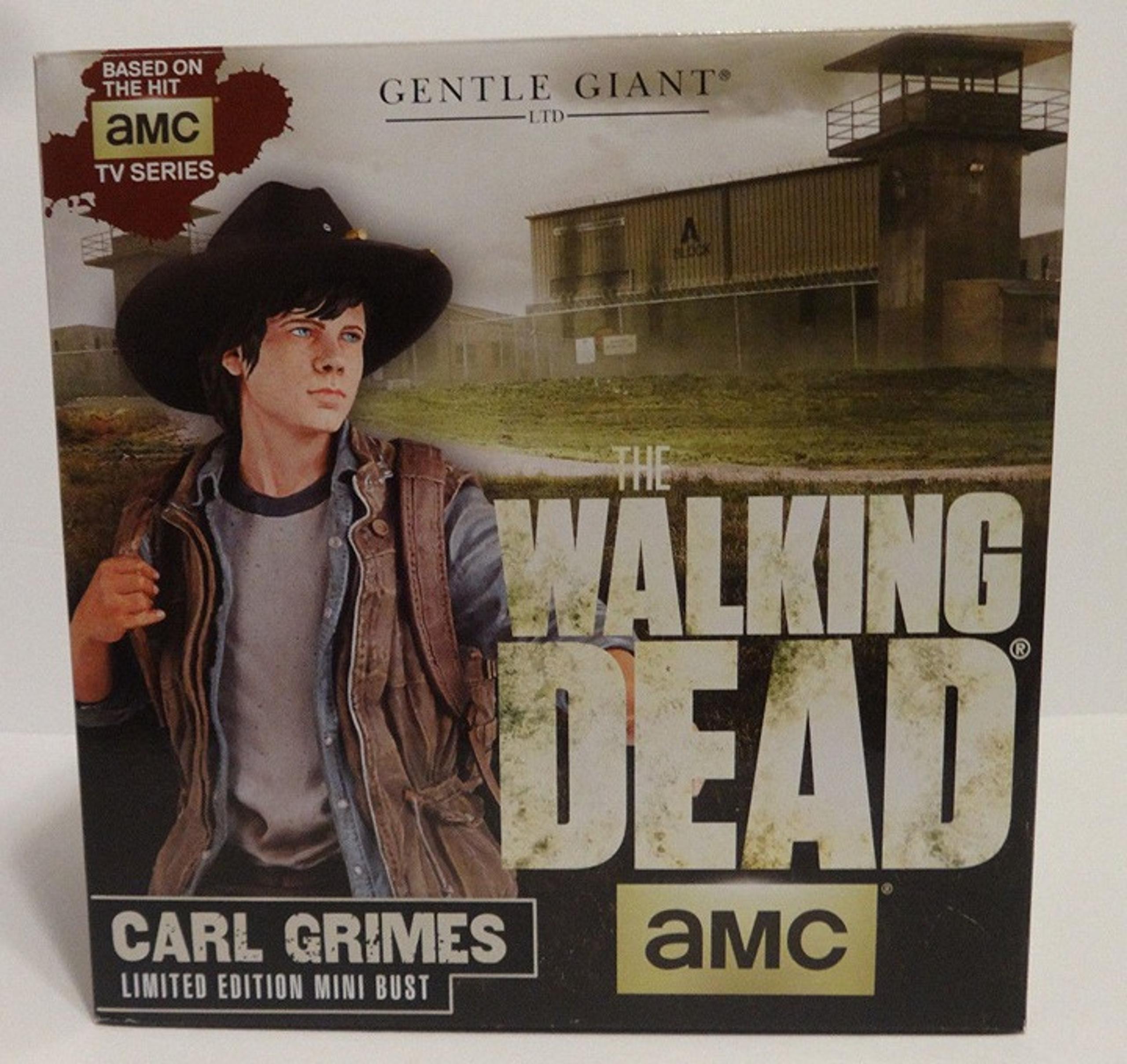 The Walking Dead Carl Grimes Mini Bust By Gentle Giant New IN Box