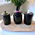 Rae Dunn halloween canisters