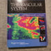 The Vascular System Diagnostic Medical Sonography