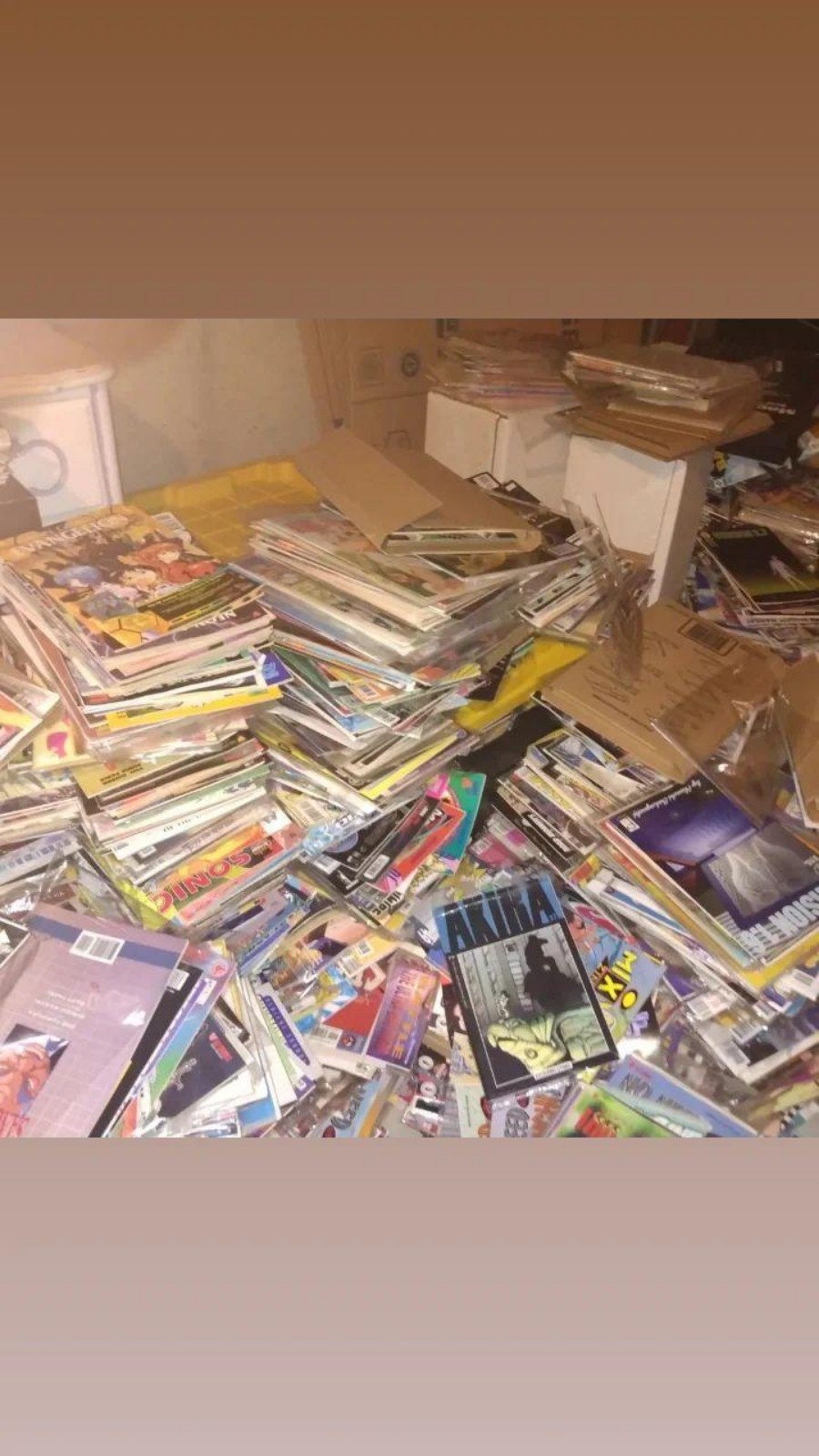 Back stock blow out manga slnglelssues lots of 800 All different comic