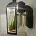 Desert Wildflower Bath & Body Works SUPER RARE Plug-in + desert scene Wallflower