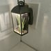 Desert Wildflower Bath & Body Works SUPER RARE Plug-in + desert scene Wallflower