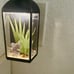 Desert Wildflower Bath & Body Works SUPER RARE Plug-in + desert scene Wallflower