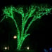 Christmas Lights 300 LED String 100FT Decor Green