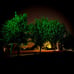 Christmas Lights 300 LED String 100FT Decor Green
