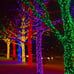Christmas Lights 300 LED String 100FT Decor Green