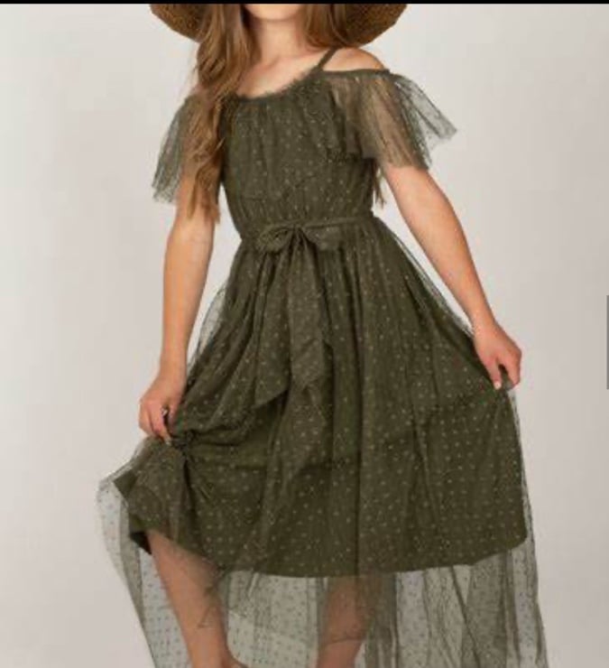 joyfolie size 6 lauryl dress in olive