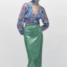 Zara Sequin Skirt