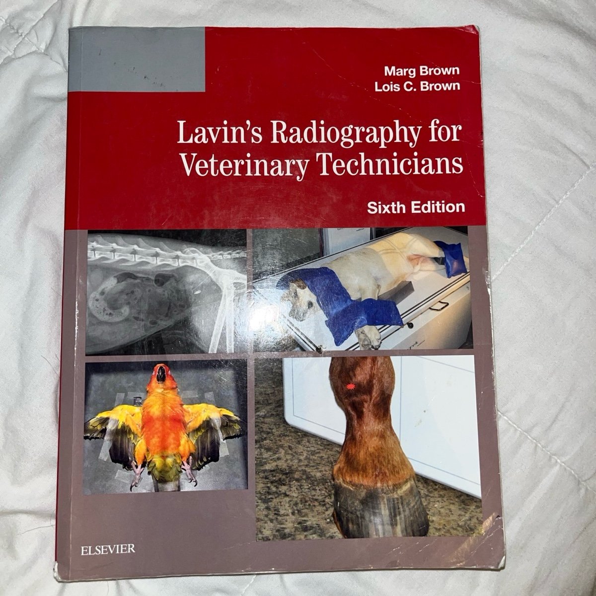 Lavin's Radiography for Veterinary Technicians